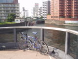 両国橋から見た神田川の河口