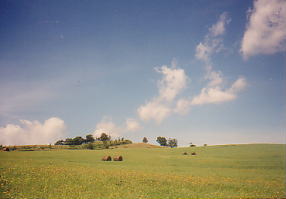 夏雲の丘