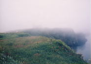 霧の花咲岬