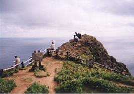 ゴロタ岬の頂上