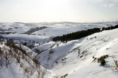 雪の宗谷丘陵