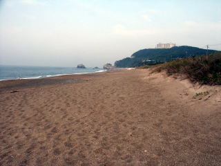 片浜十三里
