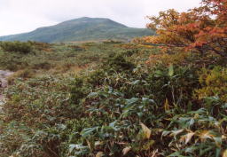 月山山頂