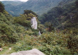湯殿山神社