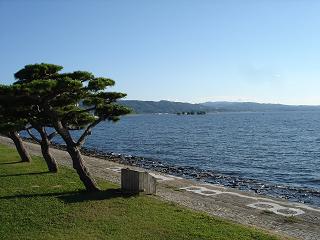 宍道湖に、松を添えて
