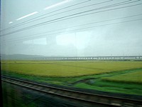 水田の向こうに延びる新幹線