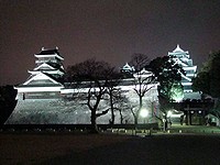 熊本城を西から望む