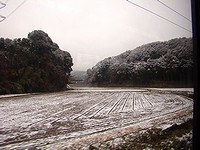 雪に白む農地