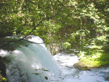 奥入瀬渓流です。新緑、紅葉、雪の季節いつでも最高の景色です