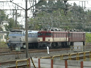 ekitanbou018005.jpg