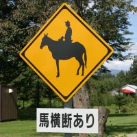 馬横断注意