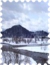 写真は大川の雪景色です