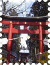 写真は伊佐須美神社です