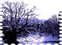 写真は鶴ヶ城・お堀の雪景色です