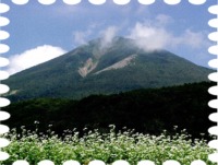 写真は磐梯山と蕎麦畑です
