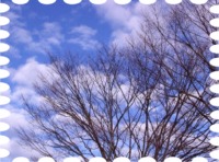 写真は西会津の青空です