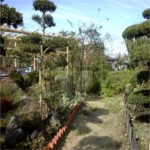 写真は日本庭園風アプローチです