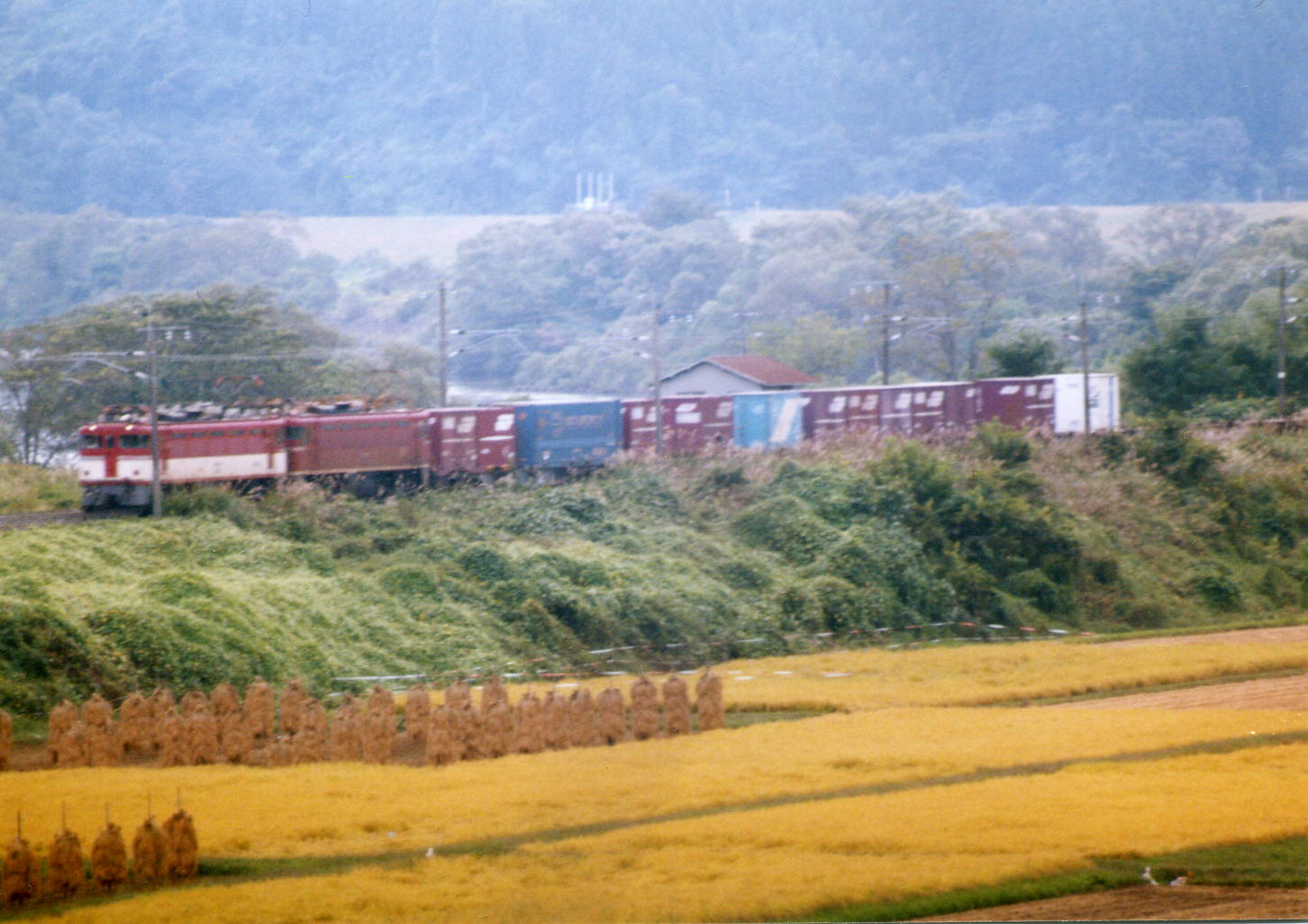 東北本線　ＥＤ７５重連　2005