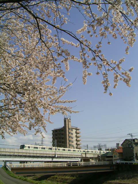 地下鉄の四季IN春