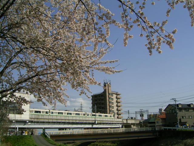 地下鉄の四季IN春