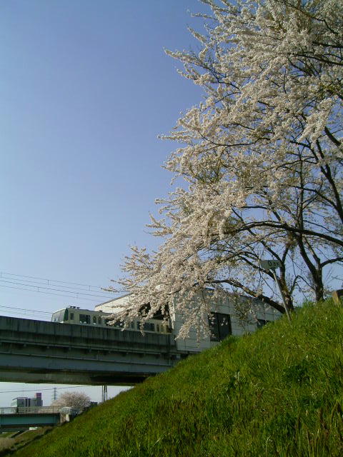 地下鉄の四季IN春