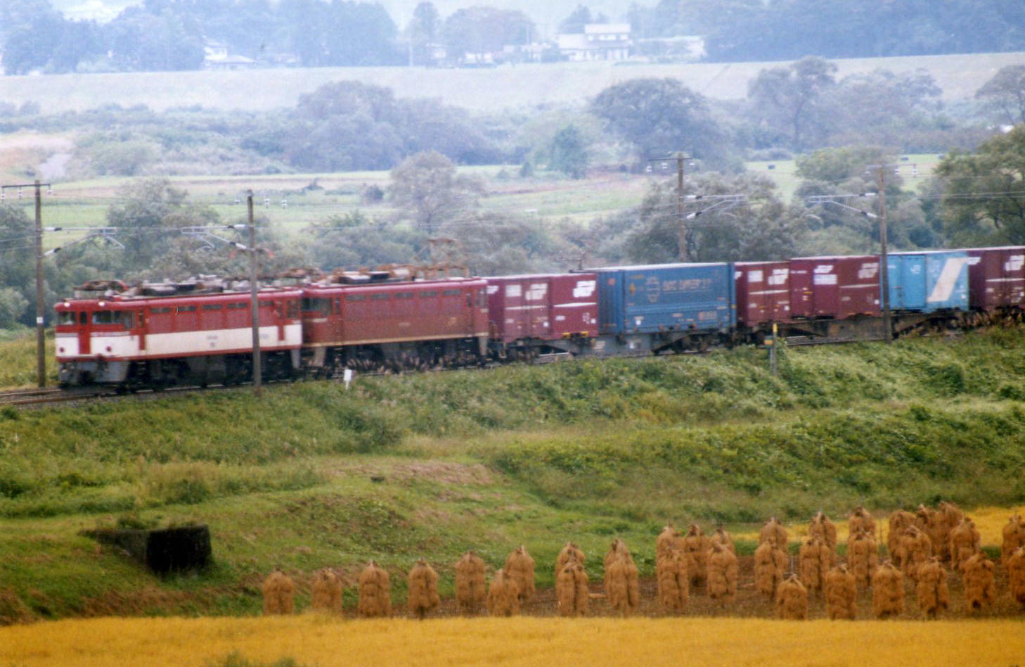 東北本線　ＥＤ７５重連　2005