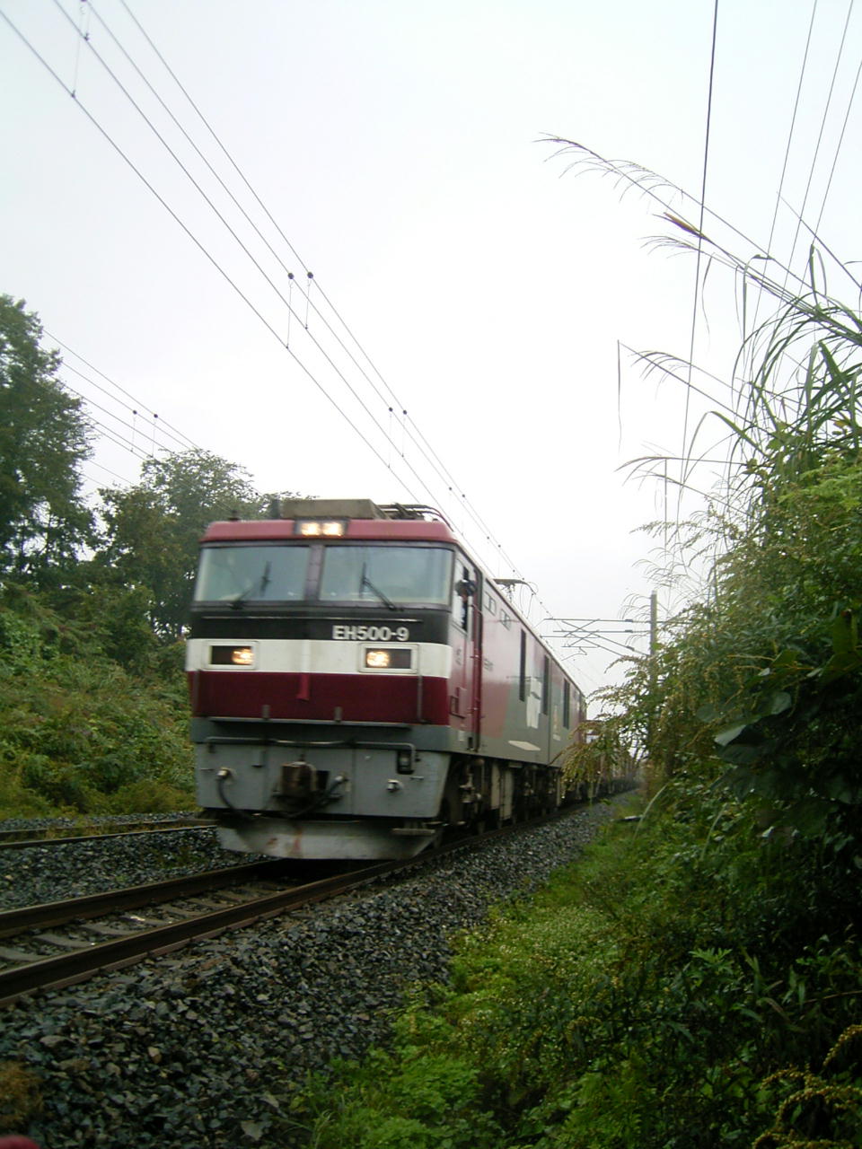 東北本線　岩手県の部　ＥＨ５００−９　金太郎