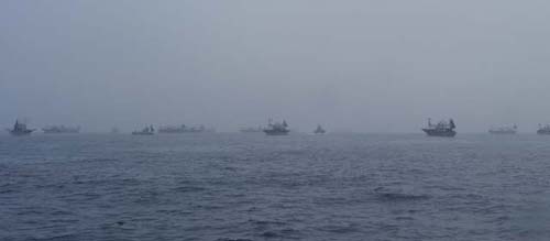 濃霧の中のイカ釣り船団