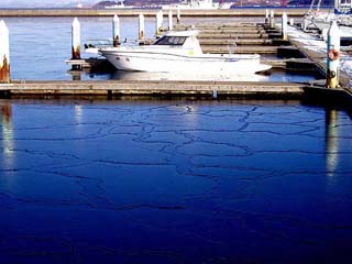 薄く氷が張った海面と終日