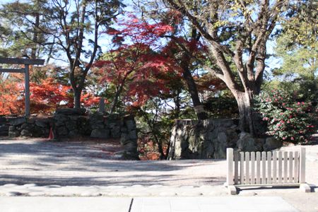 岡崎公園の紅葉
