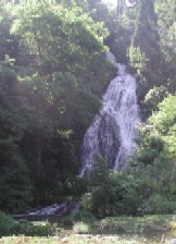 日本の滝百選「七滝」