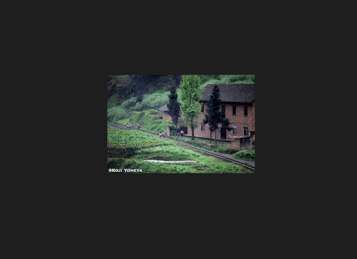 Bashi Railway, China　芭溝　中国　2004　写真集 ＊ I Love Train Page_53