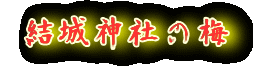 結城神社の梅 