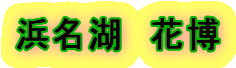 浜名湖　花博 