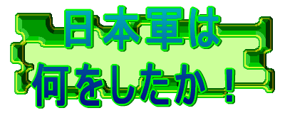 日本軍は何をしたか！