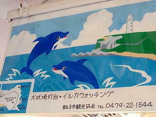 イルカがプリチ〜