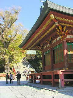 イチョウもいい感じに色づいてます