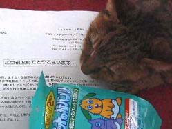 おむつ当たり！