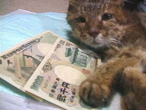 ２０００円札