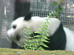 くび