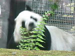 し