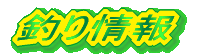 釣り情報