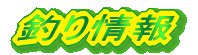 釣り情報