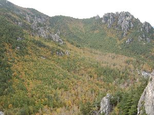 廻り目平キャンプ場周辺