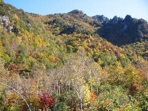 晴れた小川山
