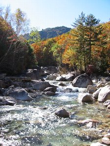 この川がメチャ綺麗〜
