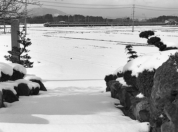 河毛にて