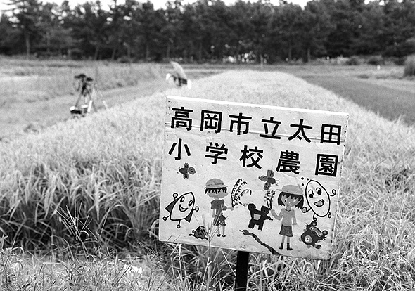 案山子さんの学校農園にて