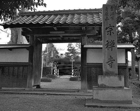 高月