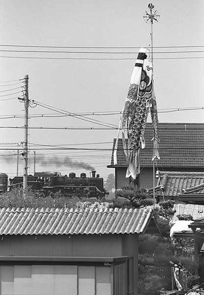 坂田駅付近の鯉幟